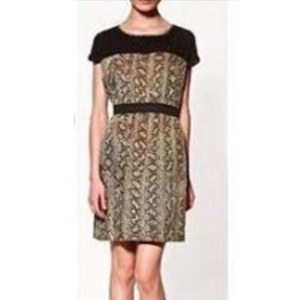 Zara snake skin dress